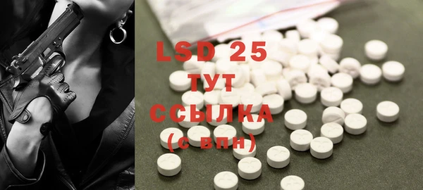 ECSTASY Алзамай